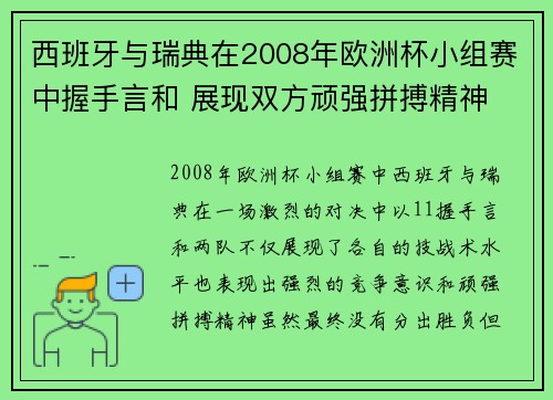西班牙与瑞典在2008年欧洲杯小组赛中握手言和 展现双方顽强拼搏精神